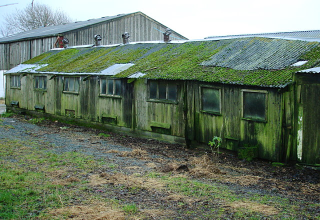 Decaying sheds, Brown Jug