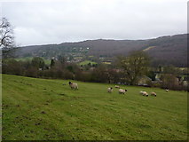 SK2477 : Sheep grazing in Grindleford by Peter Barr