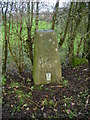 Linn Park trig point