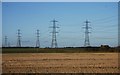 Pylons heading north from Kingsnorth Power Station