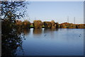 Kingfisher Angling & Preservation Society Lake