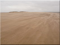 TF9145 : Wells-next-the-Sea: sand alongside The Run by Chris Downer