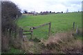 The Greensand Way towards Turners