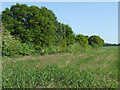 Staffordshire farm land near Market Drayton (Shropshire)