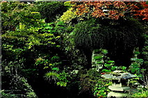 N7311 : Kildare - Japanese Gardens by Joseph Mischyshyn