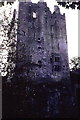W6075 : Blarney Castle by Joseph Mischyshyn