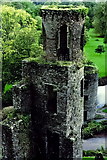 W6075 : Blarney Castle Grounds - Adjacent towers by Joseph Mischyshyn