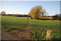 Footpath off Saxon Shore Way