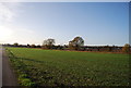 Field by the Saxon Shore Way near Hoo St Werburgh