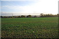 View south from the Saxon Shore Way, Hoo St Werburgh