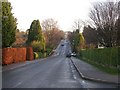 Wheatlands Road East - viewed from Belgrave Crescent