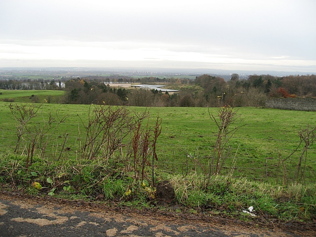 Field near Middleton Farm