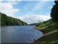 View to the Dam Wall of Damflask Reservoir, near Low Bradfield