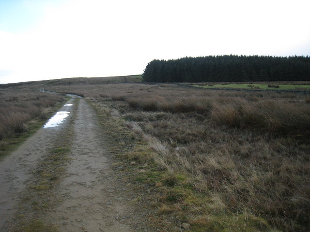 Bridleway across Burntridge Moor