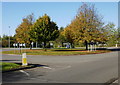 Roundabout  autumn colour