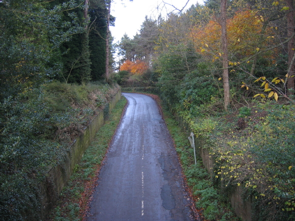 Road near Howick Hall