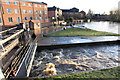 Foss Locks and Sluice