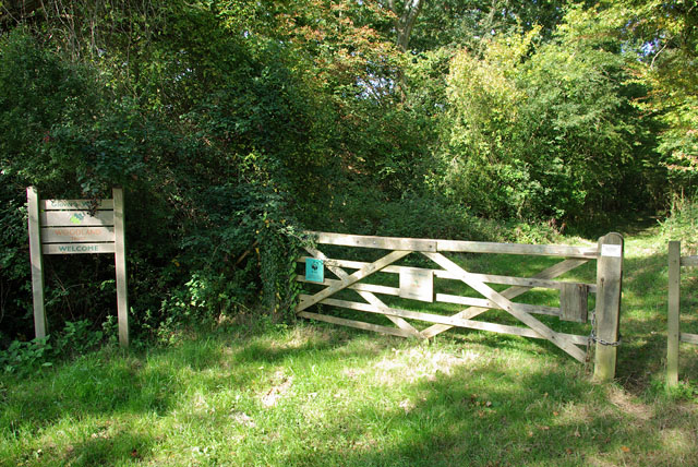 A way into Glovers Wood