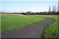 Path in Sturry Road Community Garden