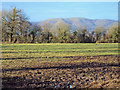 Meadow at Gilver