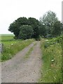 Farm road below the Lomond Hills.