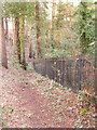 Talbot Woods: Pug?s Hole railings