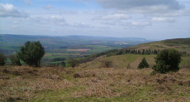 Above Triscombe Quarry © Derek Harper :: Geograph Britain and Ireland