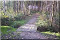 Footbridge near Marshleyharbour Wood