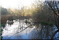 The River Len in spate, Mote Park