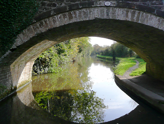 Trent and Mersey Canal through Sarson's... © Roger Kidd cc-by-sa/2.0 ...