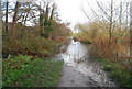 Flooding on the Len Valley Walk, Spot Lane