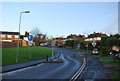 Traffic calming on Spot Lane