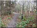 Way Markers on the Great Aycliffe Way