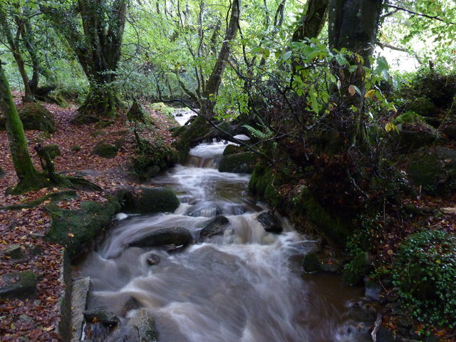 Stream in Bosahan Woods © Hansjoerg Lipp :: Geograph Britain and Ireland