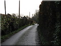 Footpath alongside Barnsfold Nursery