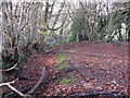 Footpath from Sunnyside Nursery to Hale Oaks Farm