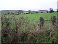 Corranarry Townland