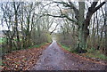 Crismill Lane looking south