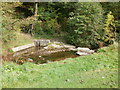 Stepping stones across Blaen Bran, Cwmbran