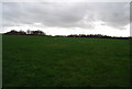 Footpath across a field outside Eyhorne Street