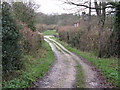 Bridleway track to Barnsfold