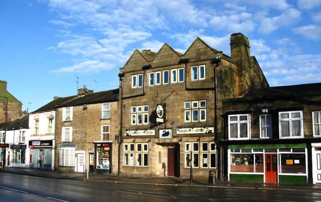 Swan On The Stray © David Rogers cc-by-sa/2.0 :: Geograph Britain and ...