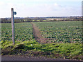 Footpath west of the B1115