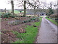 Floral planting on Pigbush Lane