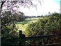 Footpath to Fifehead Magdalen