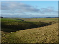 On the path down towards Gratton Dale