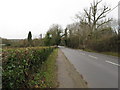 Looking north on the B 2133 towards Alfold Bars