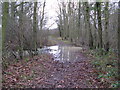 Flooded bridlewaysouth of Gennets Farm