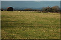 Barn and sheep at Bishop