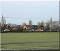 2009 : Over a frosty field to Steeple Ashton